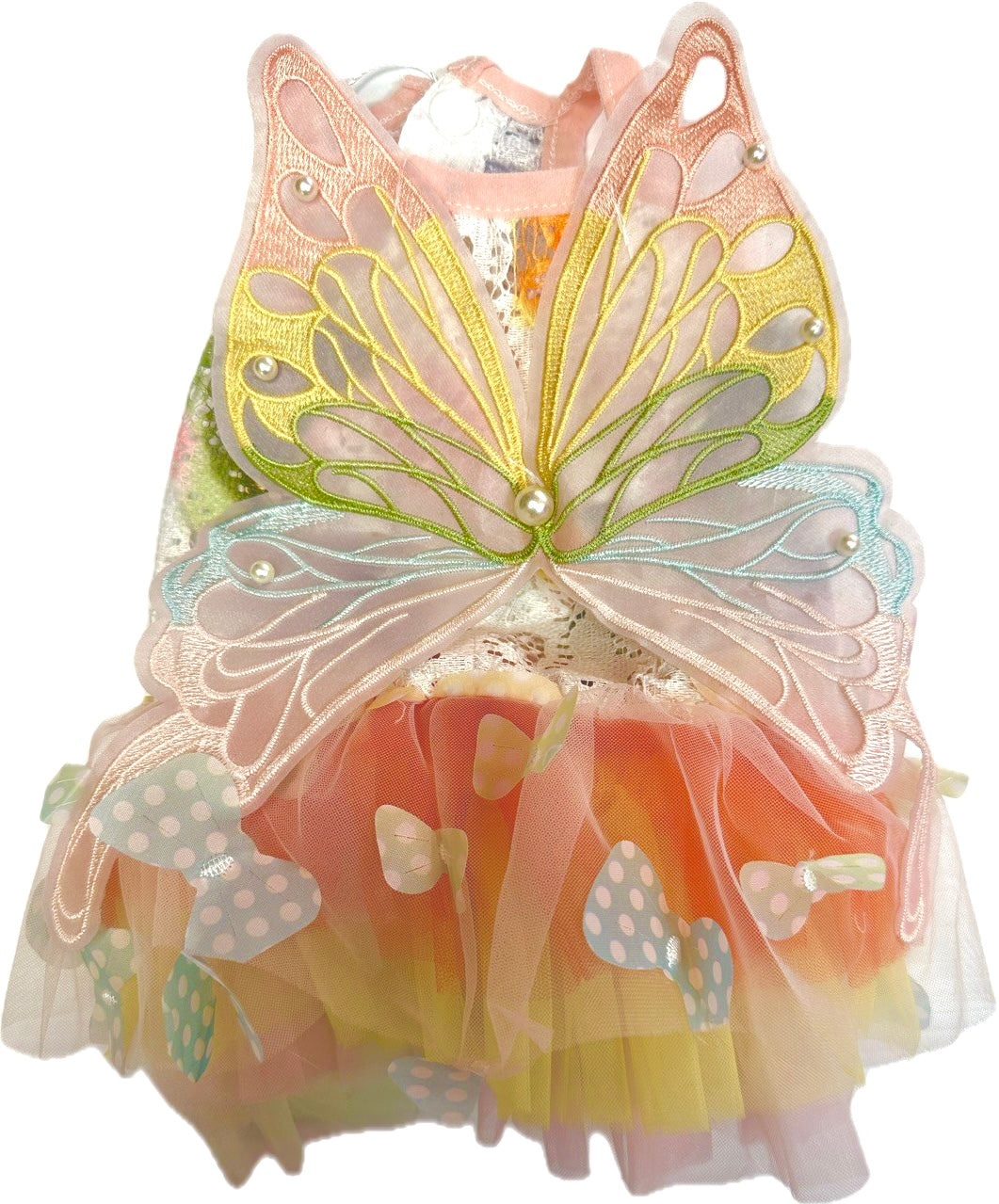 Butterfly Summer Princess Dress