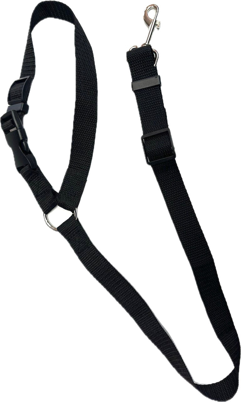 Pet Car Seat Belt Lead / Leash