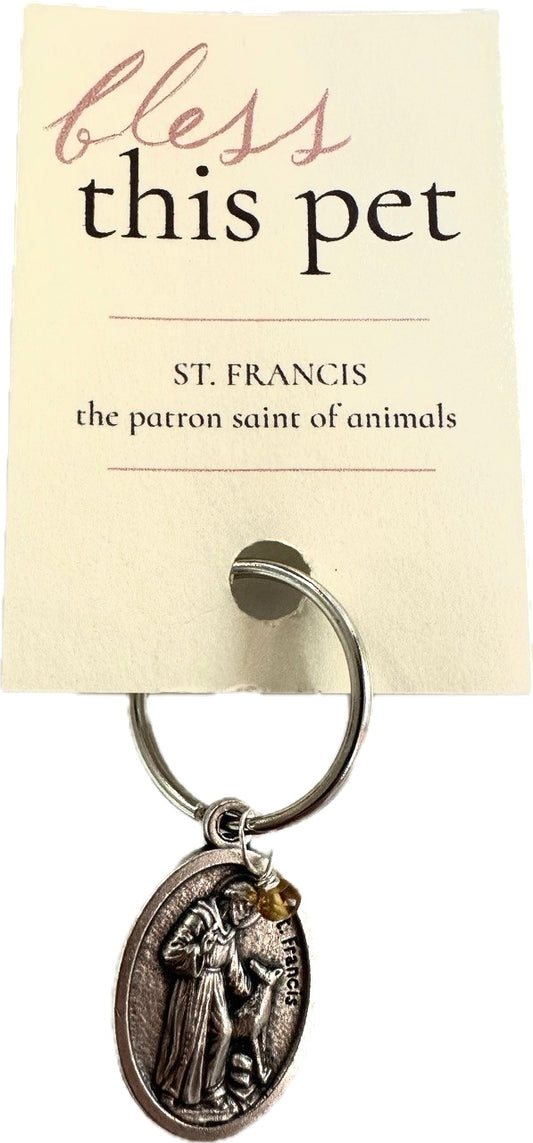 HER Story Bless This Pet Tag with Gemstone - St. Francis Dog/Cat Charm