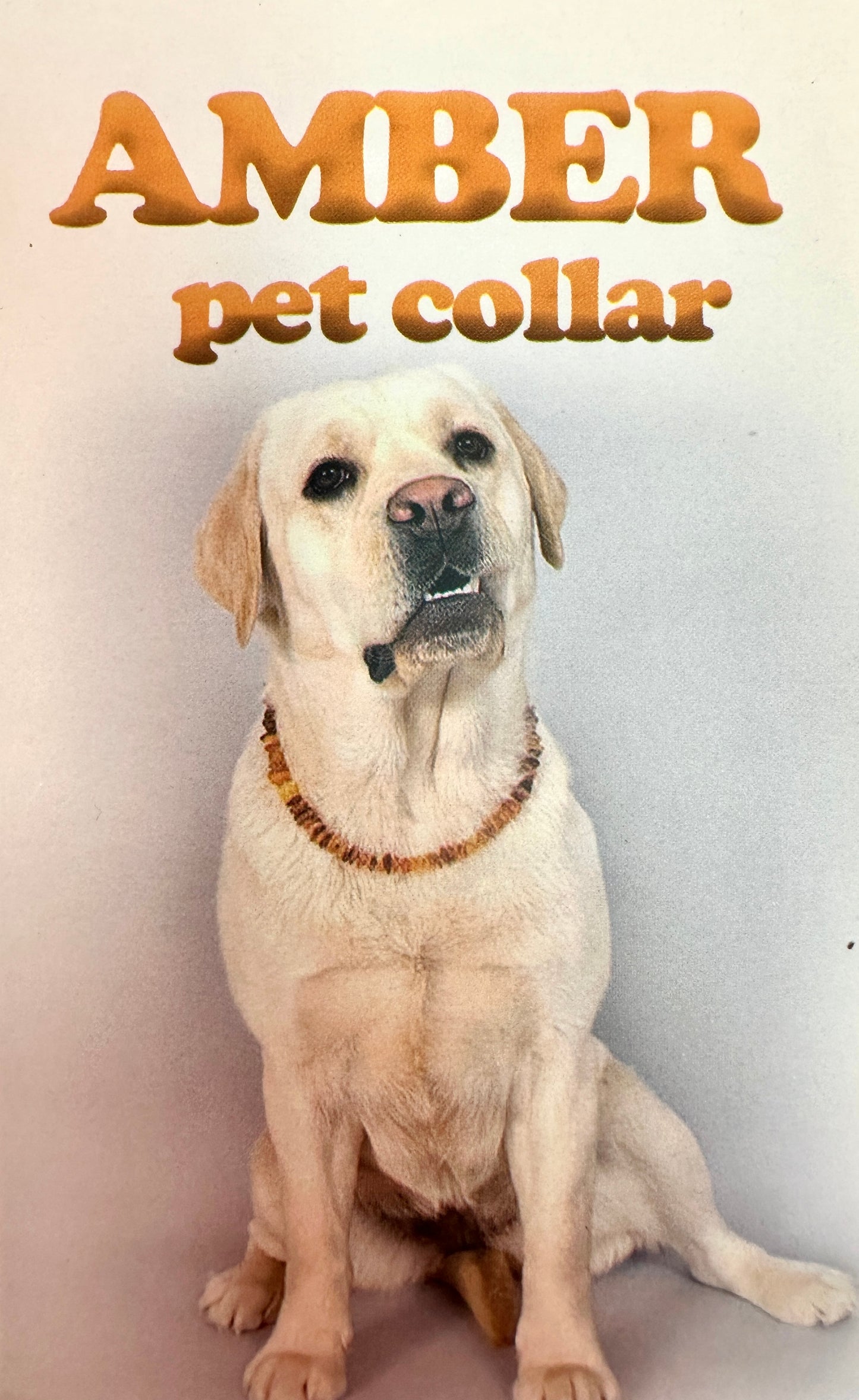 Cici’s Amber Flea & Tick Collar