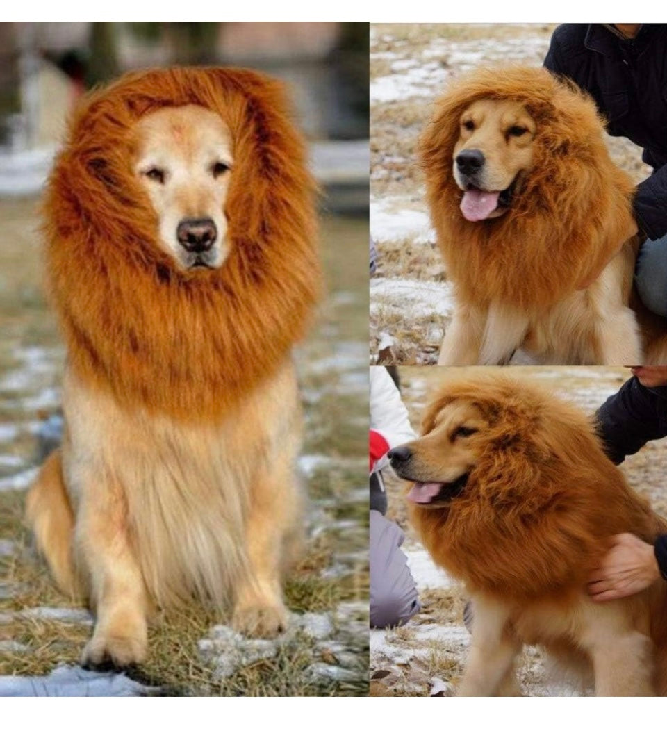 Accessoire de costume de crinière de lion