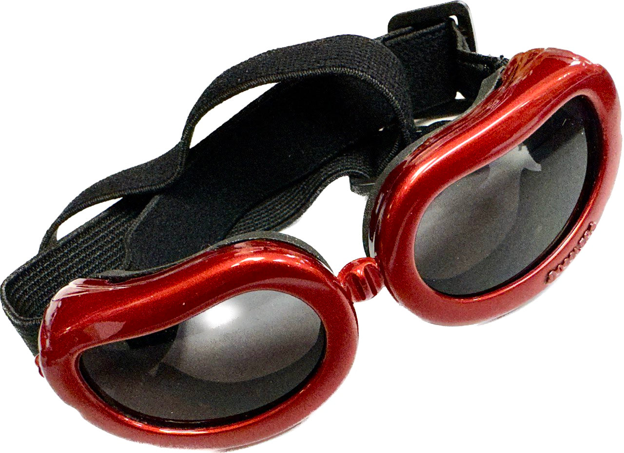 Lunettes de chien