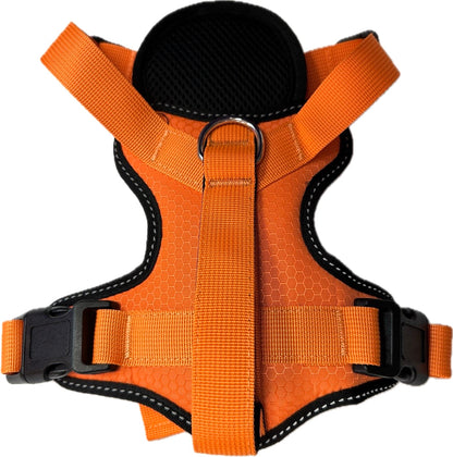 3 in 1 Seatbelt Harness with Front Control