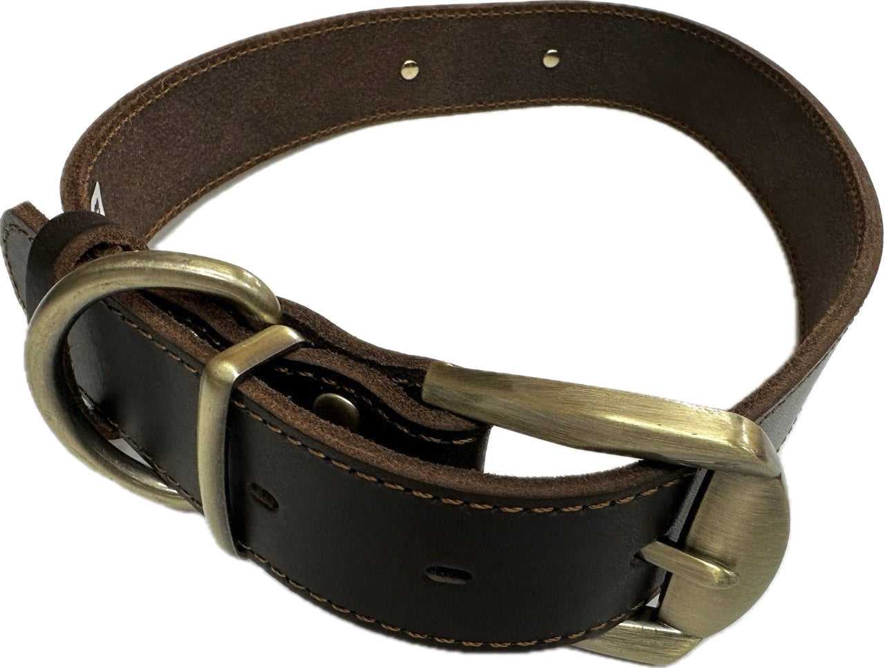 Brown Leather Collar with Gold Buckle & Hardware