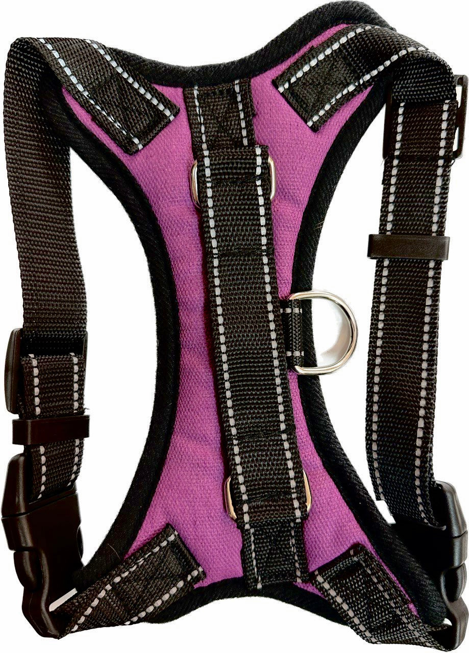 Seatbelt Harness for Large Dogs