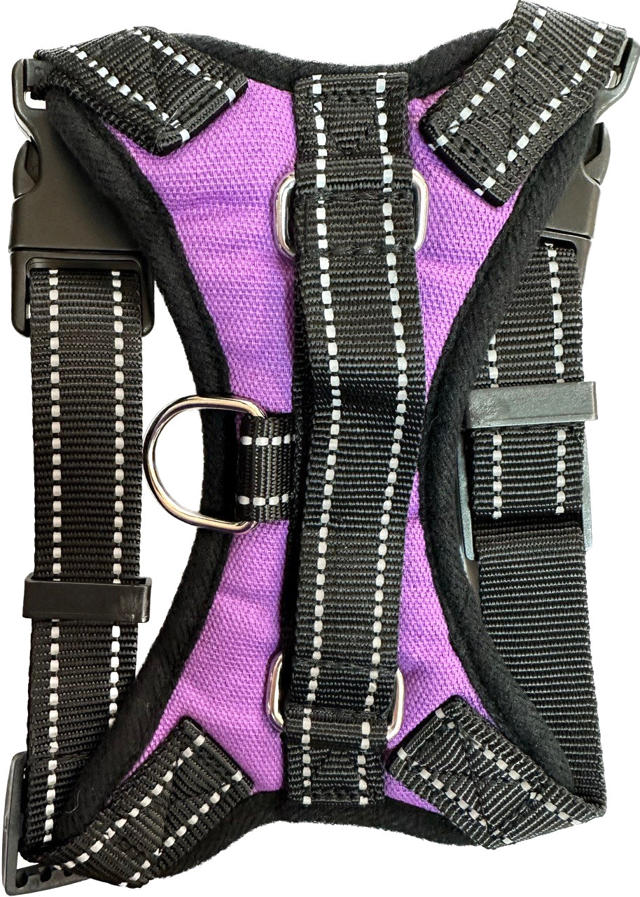 Seatbelt Harness for Large Dogs