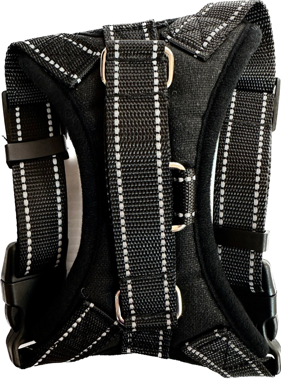 Seatbelt Harness for Large Dogs