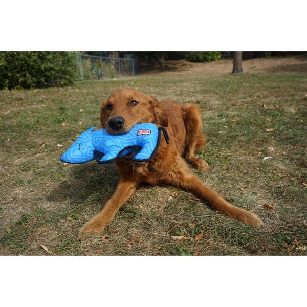 KONG Ripstop Rhino Dog Toy - Blue