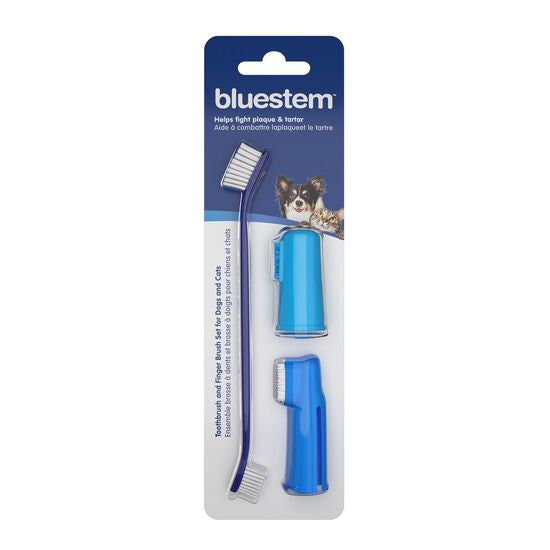 Ensemble brosse à dents et brosse à doigts Bluestem pour chiens et chats