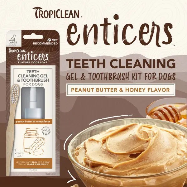 Tropiclean Enticers Teeth Cleaning Gel & Toothbrush Peanut Butter & Honey, 2oz