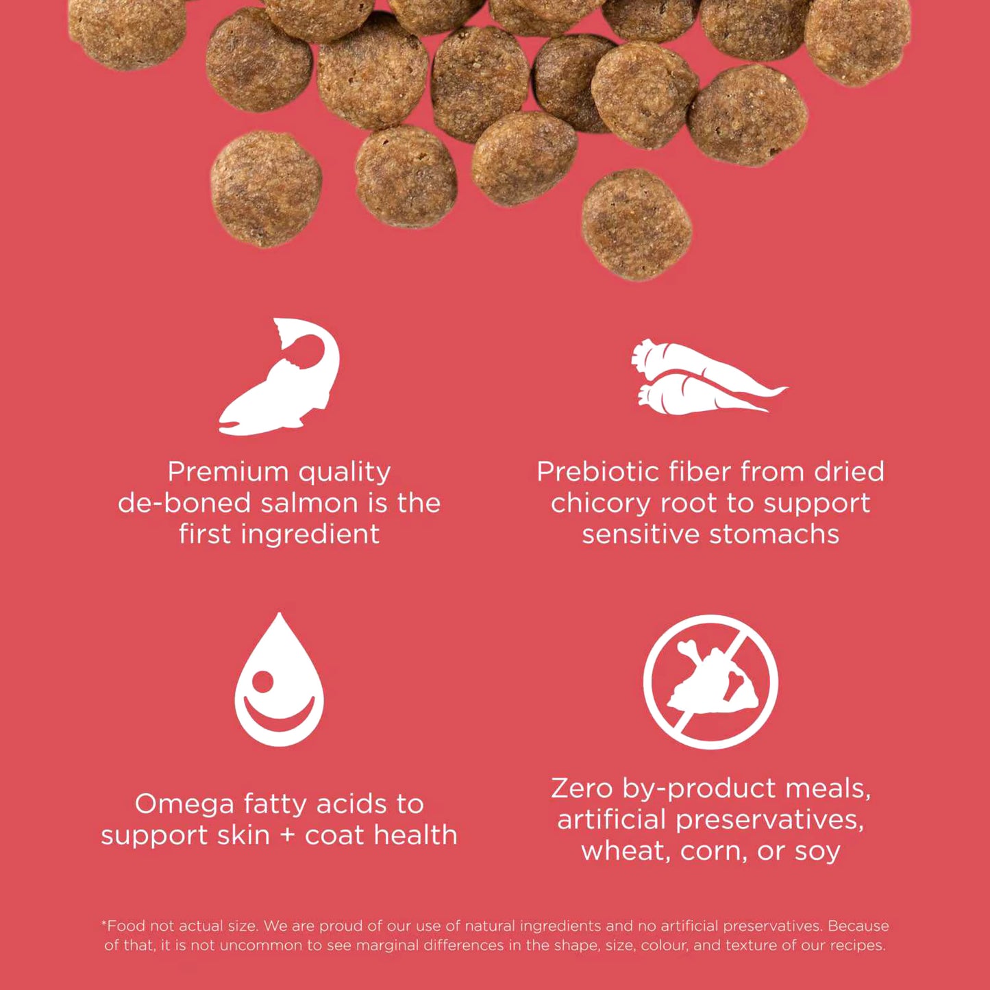 Go! Solutions Sensitivities Limited Ingredient Grain-Free Salmon Recipe Dog Food