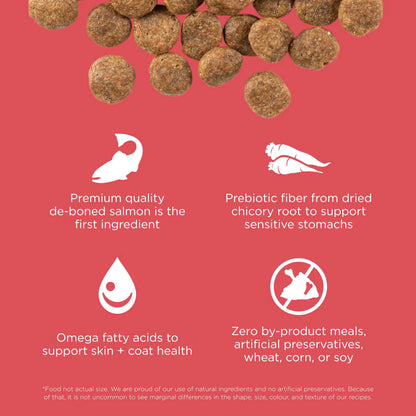 Go! Solutions Sensitivities Limited Ingredient Grain-Free Salmon Recipe Dog Food