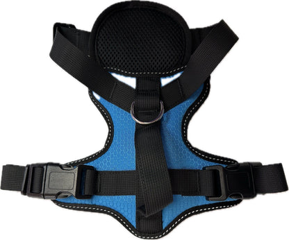 3 in 1 Seatbelt Harness with Front Control