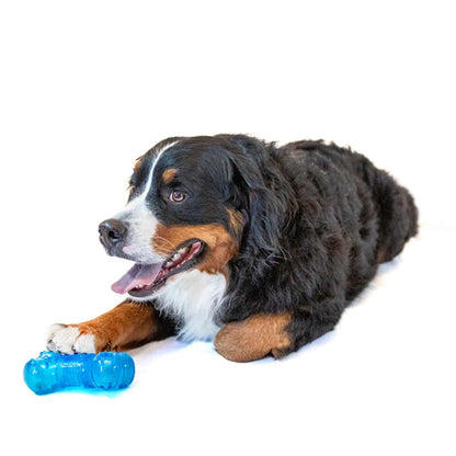 GURU No Begging Bone Tough Treat Dispensing Toy for Dogs