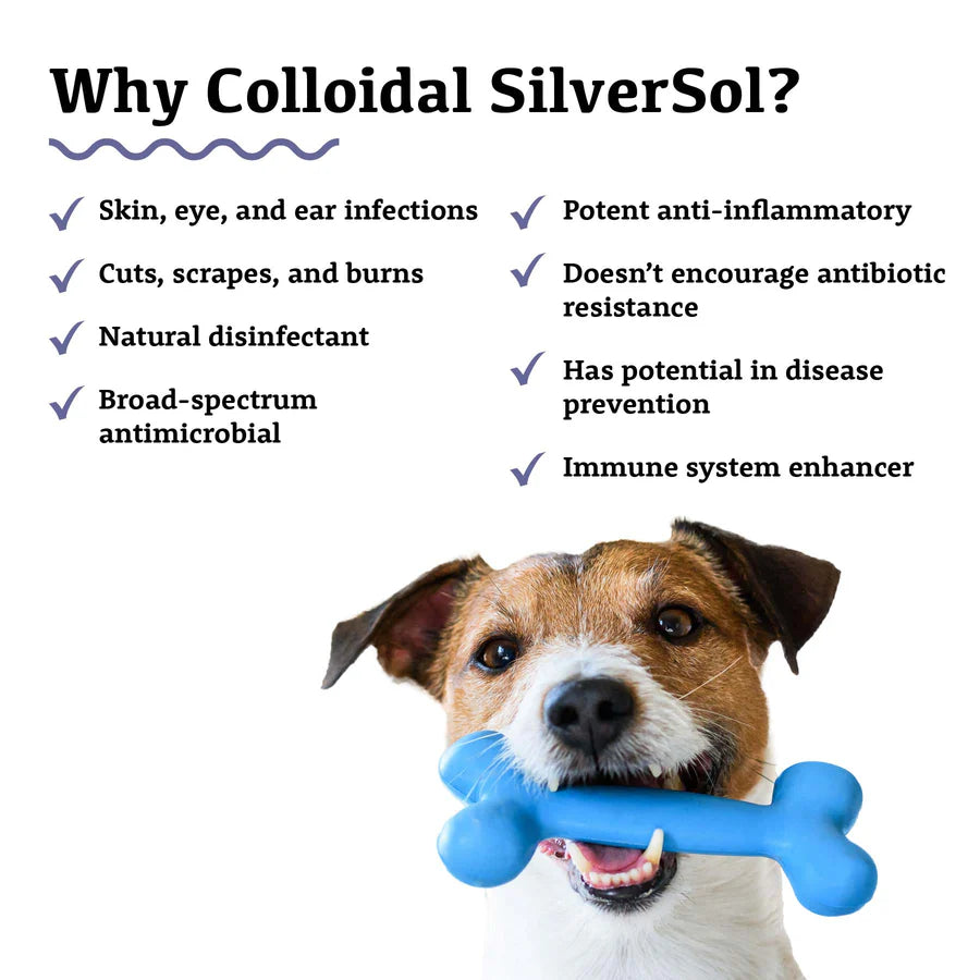 Adored Beast Apothecary Colloidial Silversol, 50ml