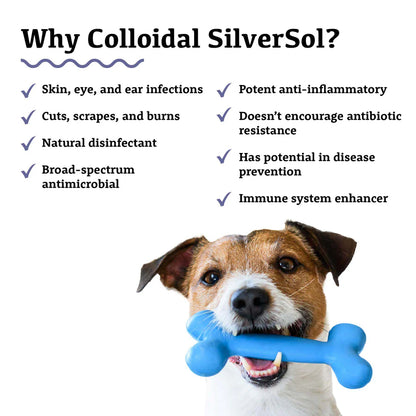 Adored Beast Apothecary Colloidial Silversol, 50ml