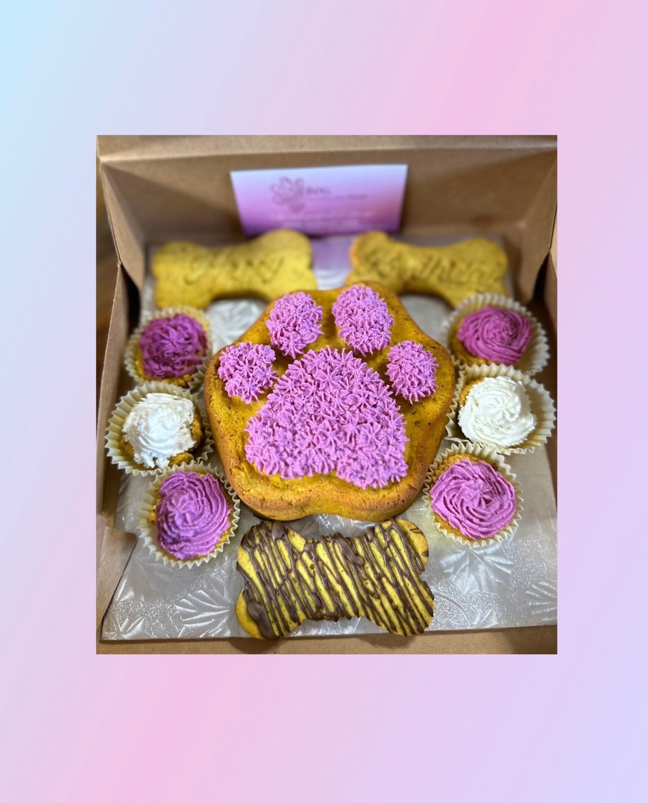 BEG. Cake Box Holistic Pet Treats