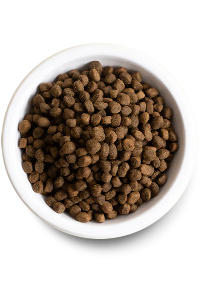 Farmer's Table Pork & Ancient Grains Dry Dog Food