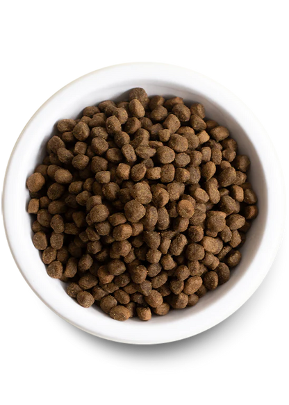 Farmer's Table Pork & Ancient Grains Dry Dog Food