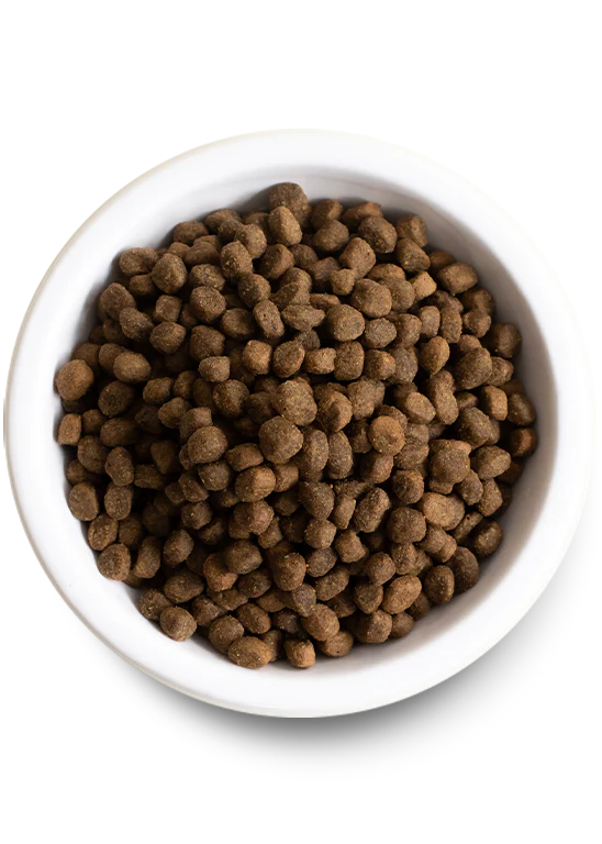 Farmer's Table Pork & Ancient Grains Dry Dog Food