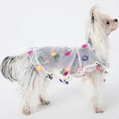 Floral Transparent Summer Dog Dress