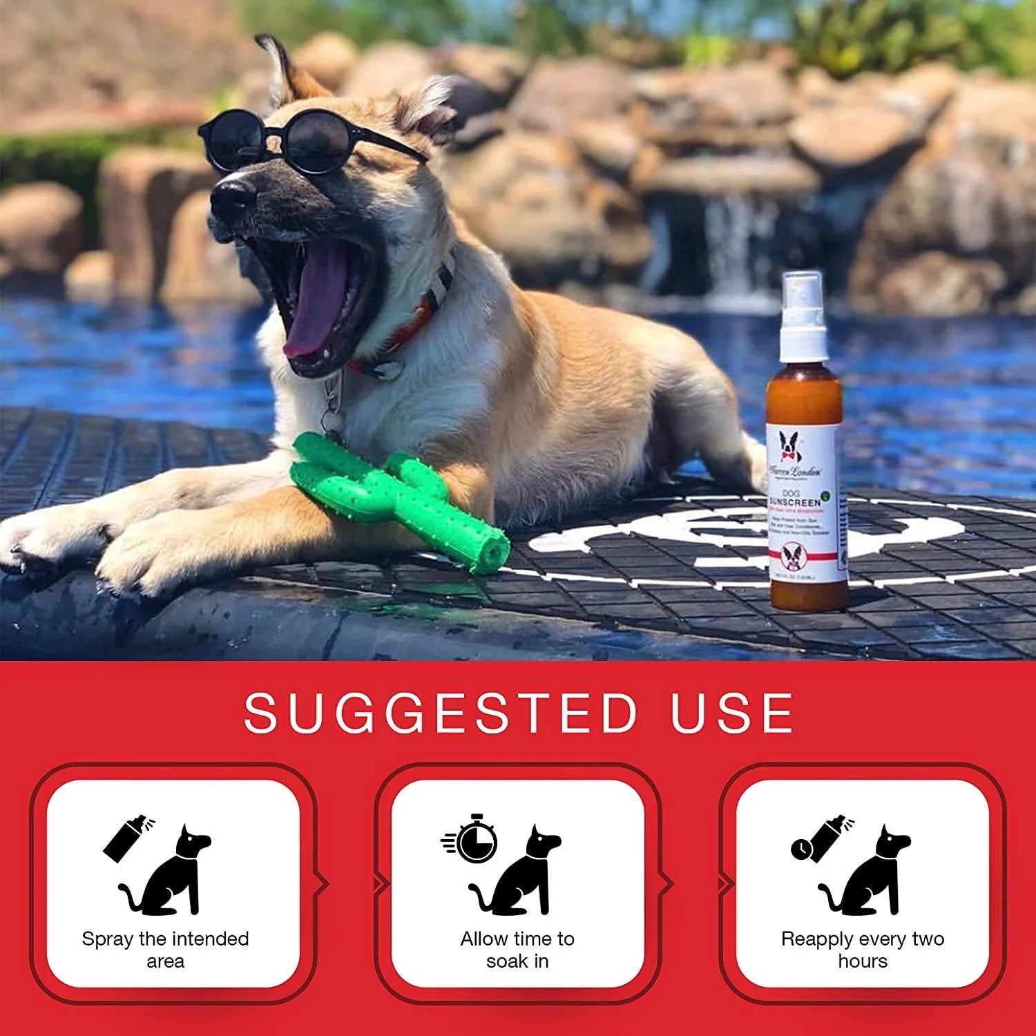 WARREN LONDON
Dog Sunscreen With Aloe Vera Moisturizer