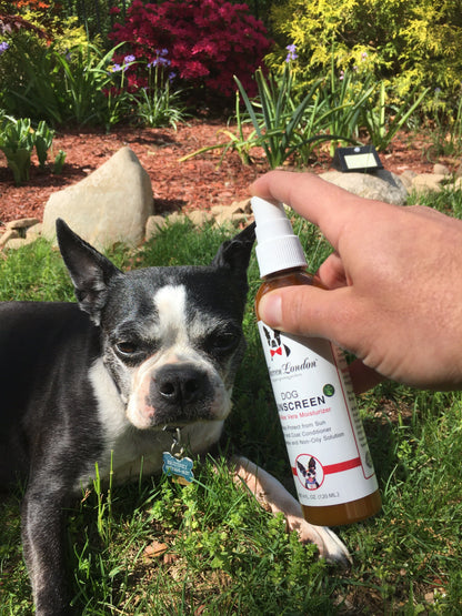 WARREN LONDON
Dog Sunscreen With Aloe Vera Moisturizer