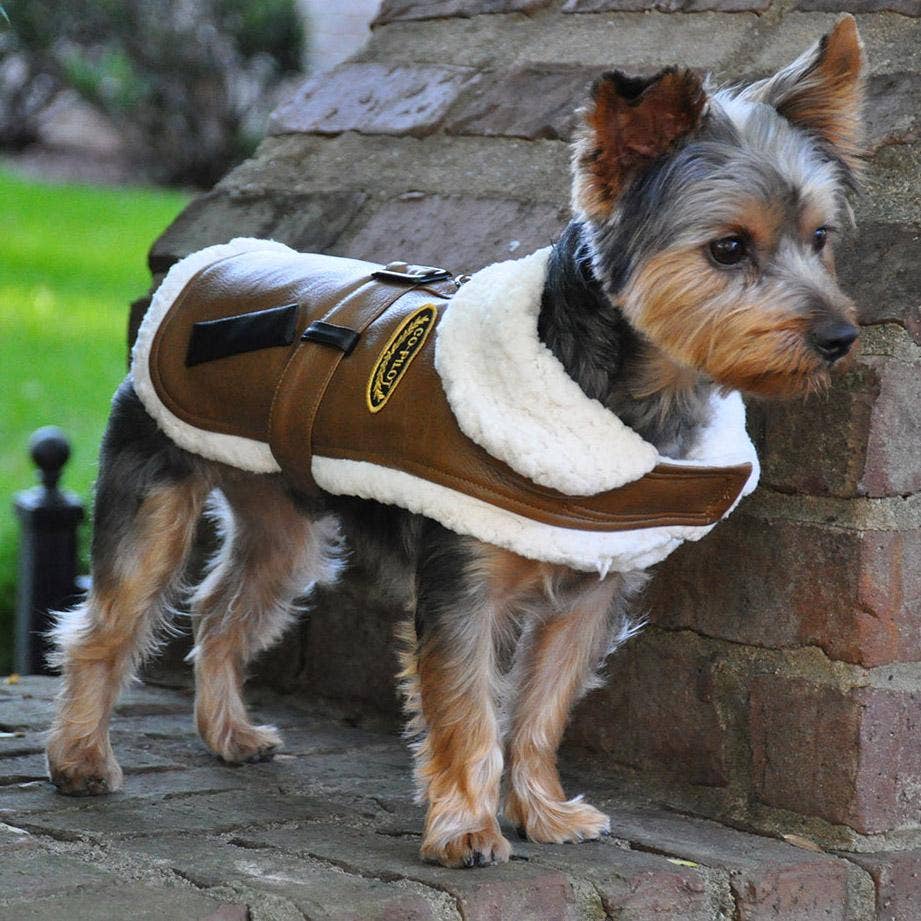 Brown & Black Faux Leather Bomber Dog Harness Coat