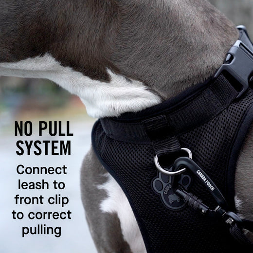 Canada Pooch The Everything Harness Mesh Series