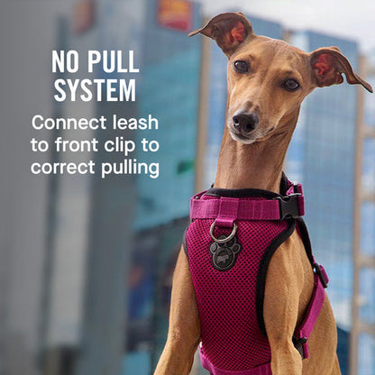 Canada Pooch The Everything Harness Mesh Series