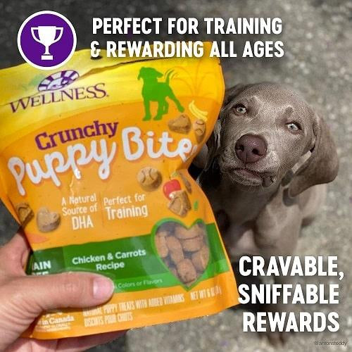 Wellness Dog Training Treat - CRUNCHY PUPPY BITES - Chicken & Carrots - 6 oz