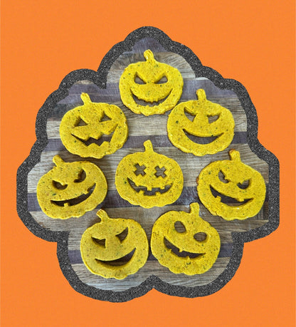 BEG. ‘Pumpkin Cookies’ Holistic Pet Treats, Single