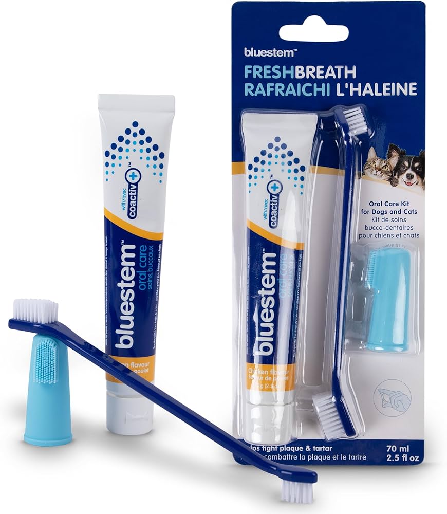 bluestem Dog & Cat Toothbrush and Toothpaste Kit - to Help Promote Health Mouth - Easy to Use Dog Teeth Cleaning Kit - Sticky and Thick Texture - Chicken Flavour