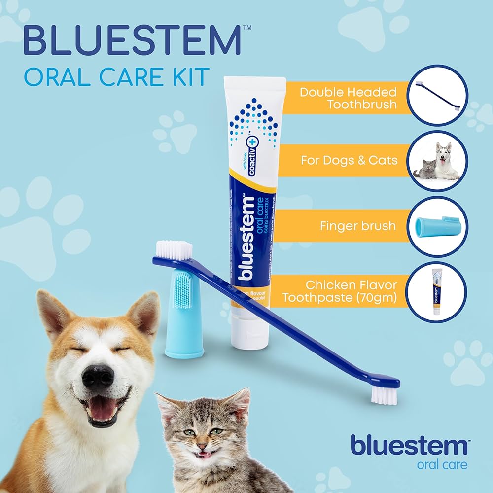 bluestem Dog & Cat Toothbrush and Toothpaste Kit - to Help Promote Health Mouth - Easy to Use Dog Teeth Cleaning Kit - Sticky and Thick Texture - Chicken Flavour