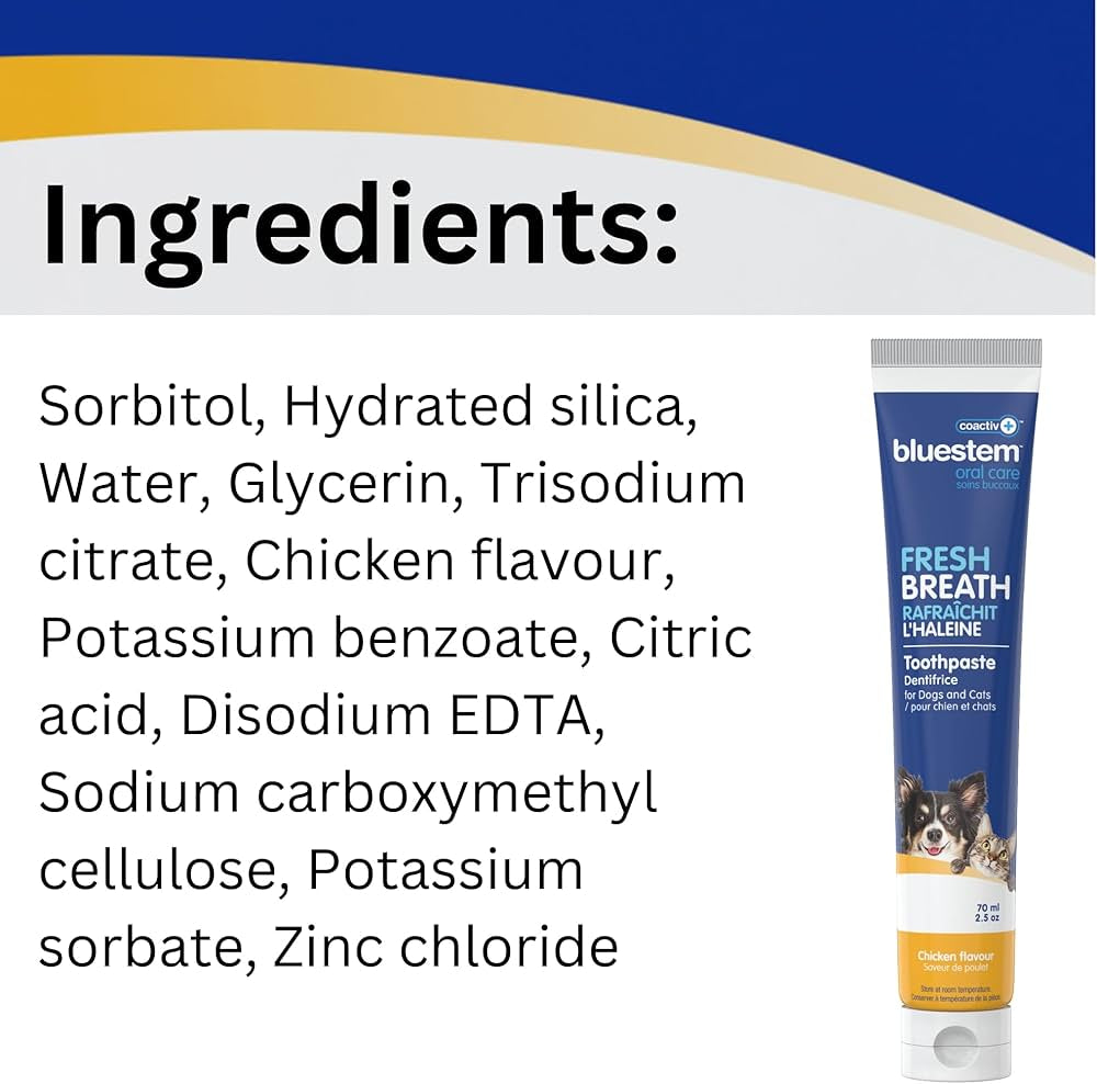 bluestem Dog & Cat Toothbrush and Toothpaste Kit - to Help Promote Health Mouth - Easy to Use Dog Teeth Cleaning Kit - Sticky and Thick Texture - Chicken Flavour