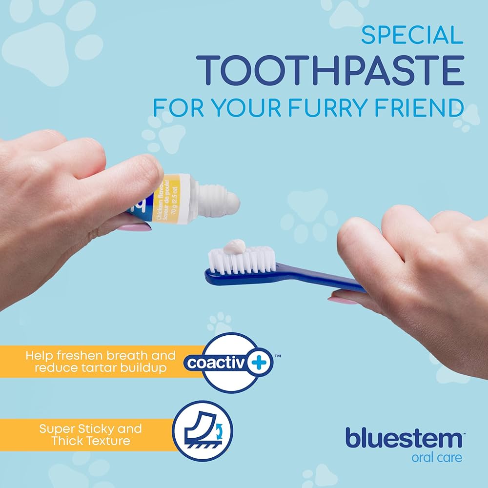 bluestem Dog & Cat Toothbrush and Toothpaste Kit - to Help Promote Health Mouth - Easy to Use Dog Teeth Cleaning Kit - Sticky and Thick Texture - Chicken Flavour