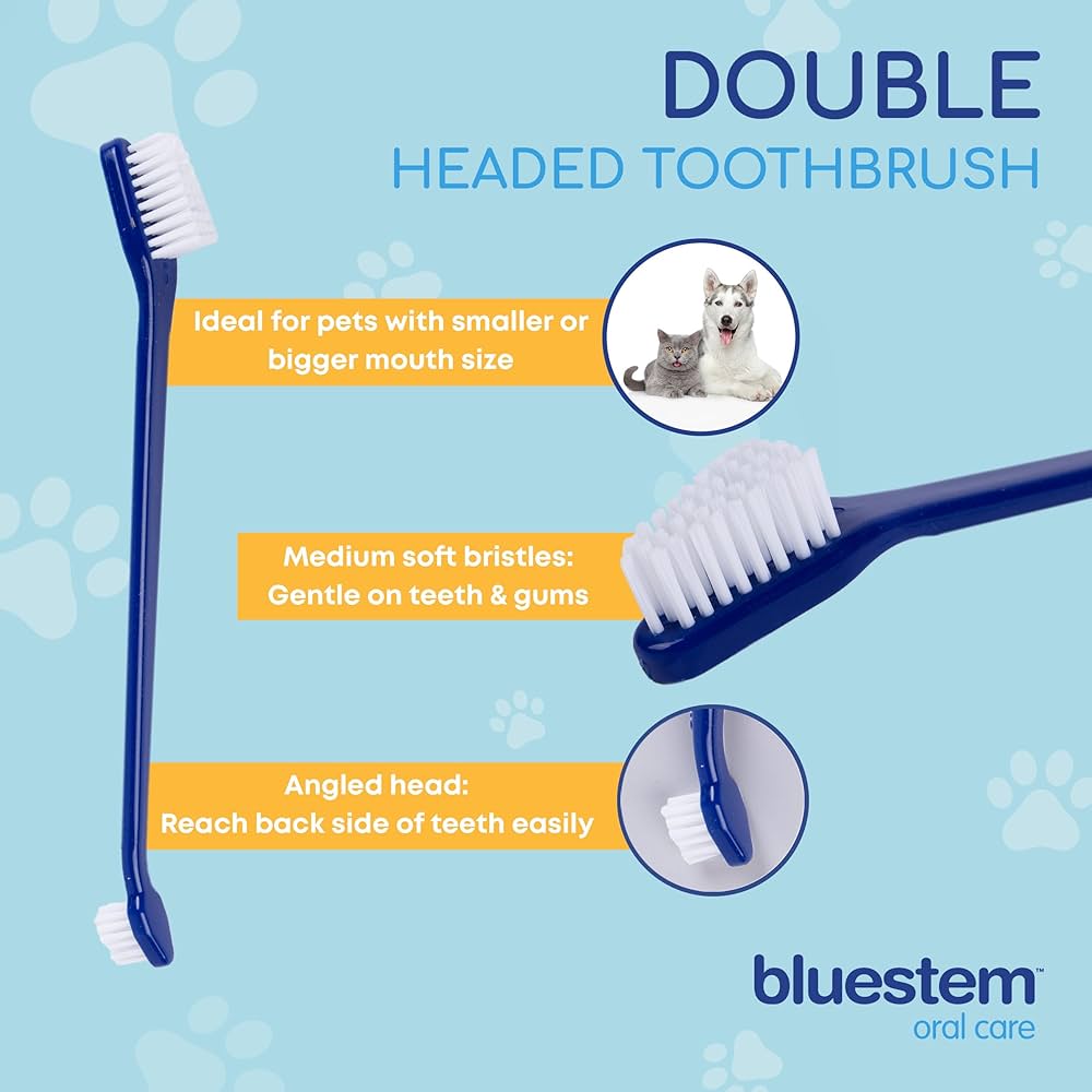 bluestem Dog & Cat Toothbrush and Toothpaste Kit - to Help Promote Health Mouth - Easy to Use Dog Teeth Cleaning Kit - Sticky and Thick Texture - Chicken Flavour