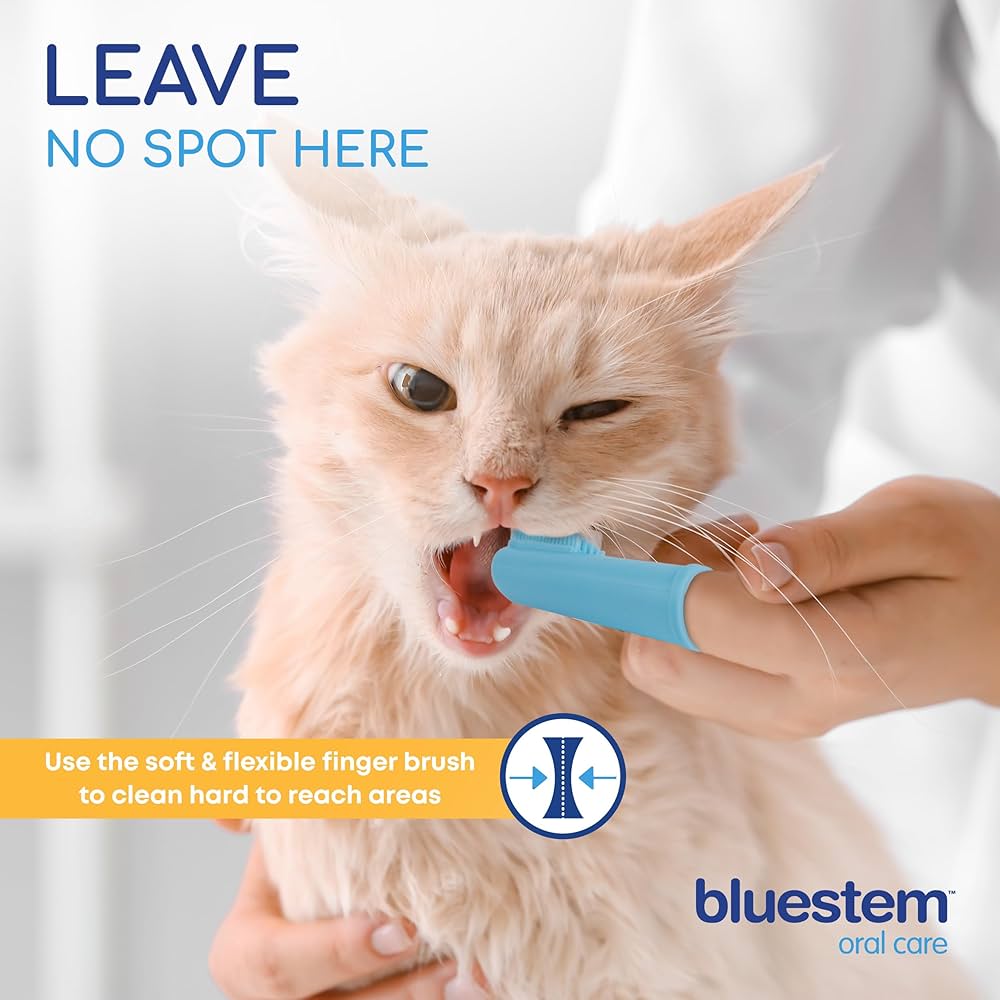 bluestem Dog & Cat Toothbrush and Toothpaste Kit - to Help Promote Health Mouth - Easy to Use Dog Teeth Cleaning Kit - Sticky and Thick Texture - Chicken Flavour