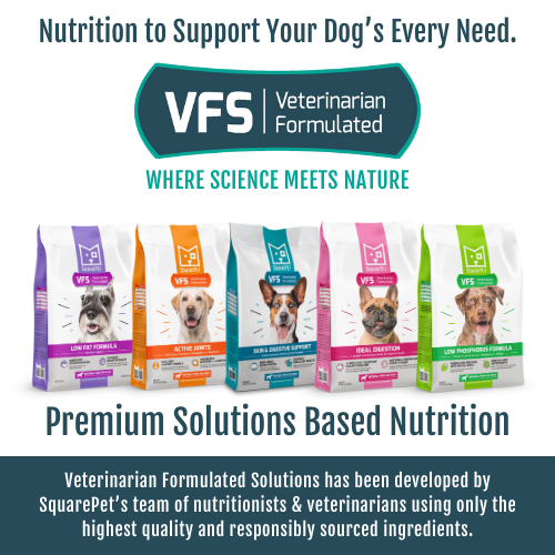 SquarePet VFS - Low Phosphorus Formula - Dry Dog Food, 4.4lb