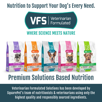 SquarePet VFS Veterinarian Formulated - Ideal Digestion - Natural Food for Dogs (4.4lbs)