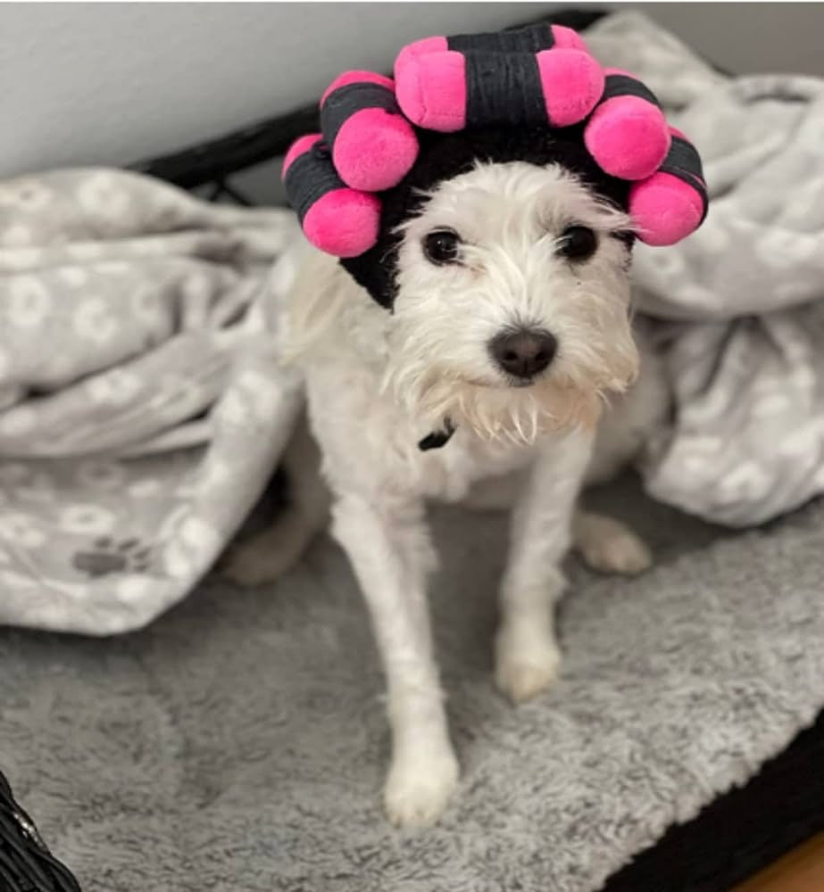 Halloween Curler Wig