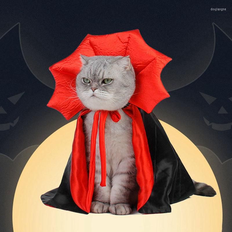 Cape Dracula pour petits chiens ou chats