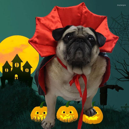 Cape Dracula pour petits chiens ou chats