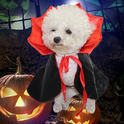 Cape Dracula pour petits chiens ou chats