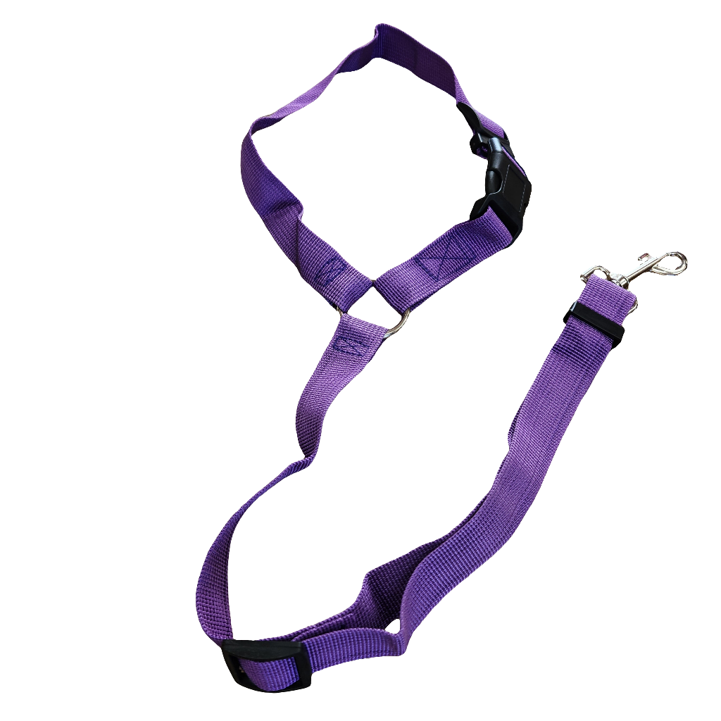Pet Car Seat Belt Lead / Leash