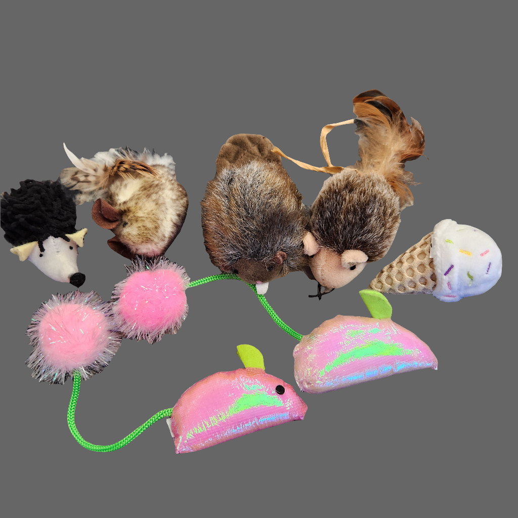 Assorted CatNip Toys