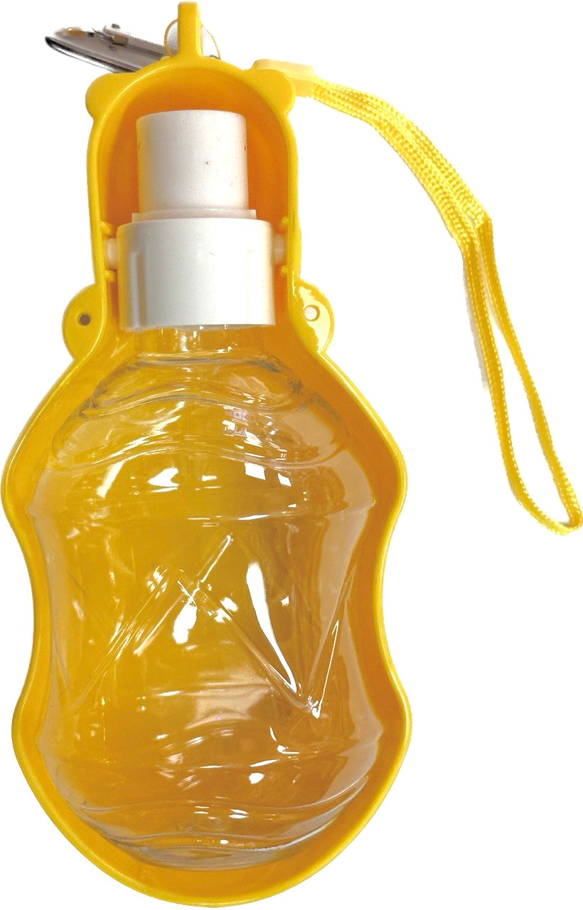 Portable Water Bottles