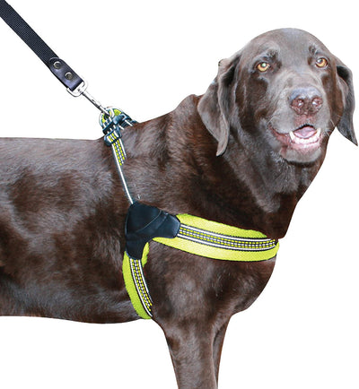 Sporn Easy Fit Harness, Padded Comfort