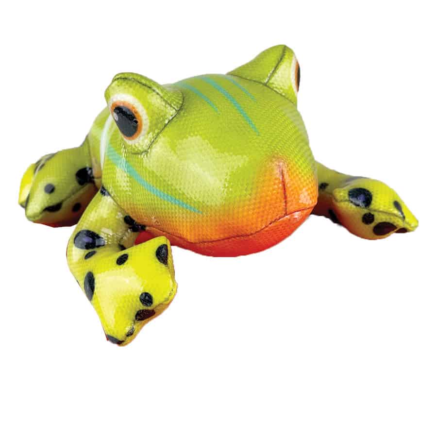 KONG Shieldz Tropics Grenouille Taille M 