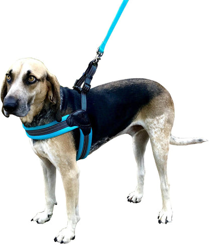 Sporn Easy Fit Harness, Padded Comfort